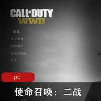即时战略游戏《使命召唤：二战》中文汉化版推荐